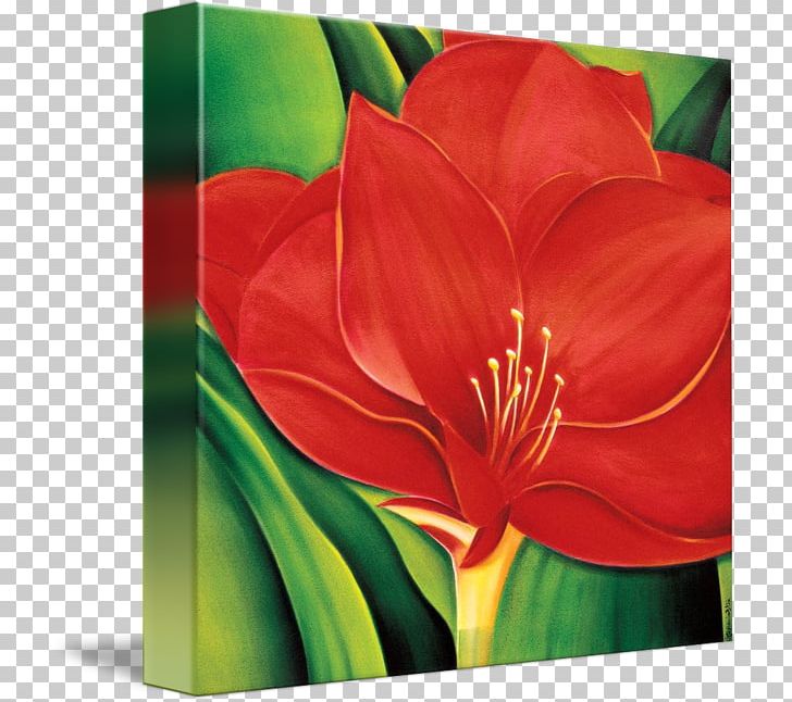Amaryllis Jersey Lily Acrylic Paint Still Life Photography PNG, Clipart, Acrylic Paint, Acrylic Resin, Amaryllis, Amaryllis Belladonna, Belladonna Free PNG Download