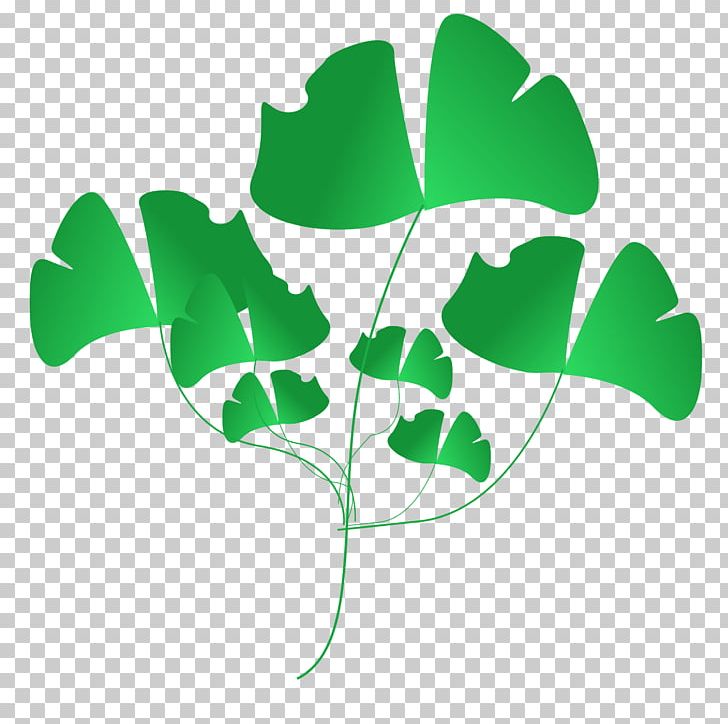 Leaf Branch Others PNG, Clipart, Banana Leaves, Blog, Branch, Computer Icons, Download Free PNG Download
