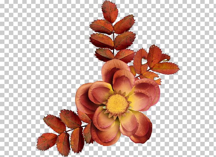 Centerblog Cut Flowers Petal PNG, Clipart, 2016, 2018, Arama, Autumn, Avatar Free PNG Download