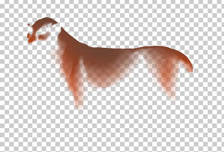 Dog Breed Italian Greyhound Puppy Companion Dog PNG, Clipart, Animals, Carnivoran, Companion Dog, Dog, Dog Breed Free PNG Download