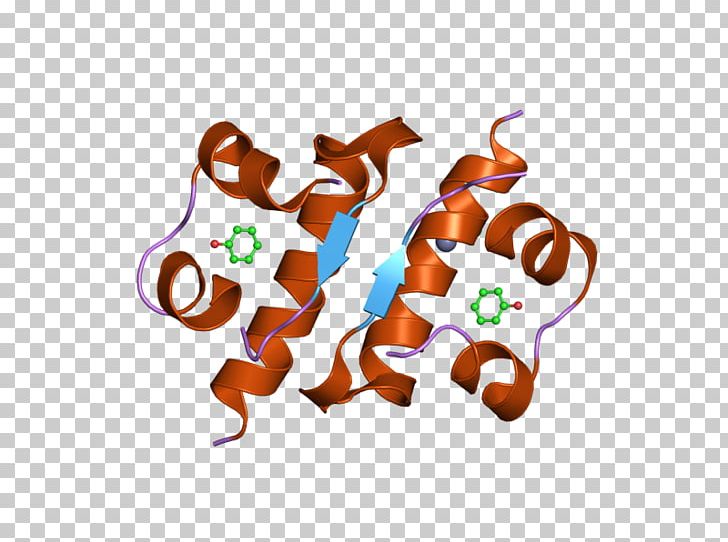Insulin Crystal Structure Beta Cell PNG, Clipart, Beta Cell, Carbohydrate Metabolism, Chemical Structure, Computer Wallpaper, Cpeptide Free PNG Download