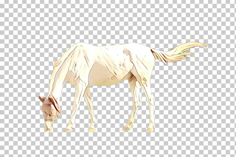 Unicorn PNG, Clipart, Animal Figure, Drawing, Horse, Mane, Mare Free PNG Download