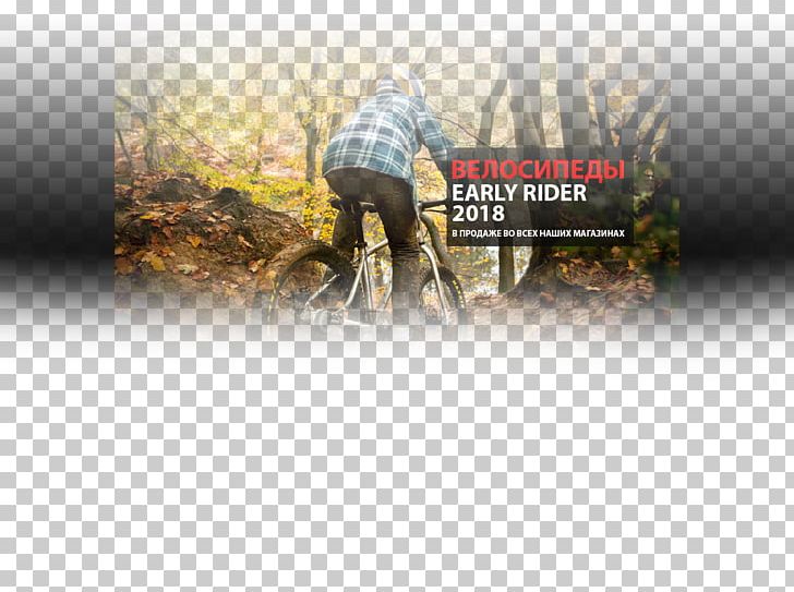 Bicycle Shop Discounts And Allowances Mountain Bike Service PNG, Clipart, Advertising, Artikel, Bicycle, Bicycle Frames, Bmx Free PNG Download