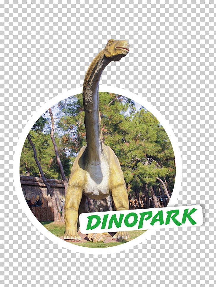 Dinosaur PNG, Clipart, Dinosaur, Fantasy, Tree Free PNG Download