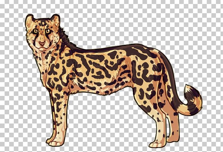 Felidae Cat Northwest African Cheetah Leopard Ocelot PNG, Clipart, Animal, Animal Figure, Animals, Big Cat, Big Cats Free PNG Download