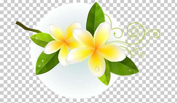 Flower Encapsulated PostScript PNG, Clipart, Art, Cicekler, Computer Wallpaper, Download, Encapsulated Postscript Free PNG Download