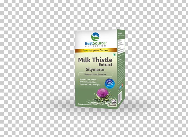 Milk Thistle Capsule Silibinin Nutrition Saw Palmetto Extract PNG, Clipart, Capsule, Diabetes Mellitus, Essential Fatty Acid, Extract, Fish Oil Free PNG Download