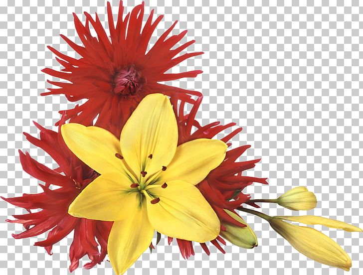 Flower PNG, Clipart, Chrysanthemum, Chrysanths, Cut Flowers, Daisy Family, Download Free PNG Download