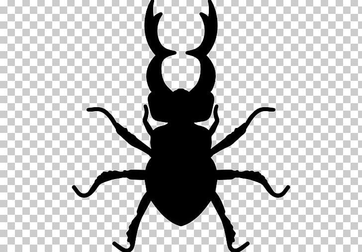 Stag Beetle Computer Icons PNG, Clipart, Animal, Animals, Artwork, Atlas Beetle, Beetle Free PNG Download