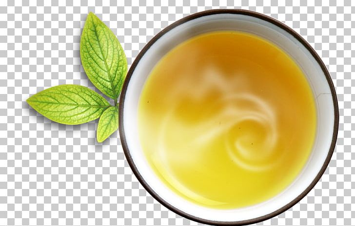 Tea Mint PNG, Clipart, Chawan, Coffee Cup, Copyright, Cup, Cup Cake Free PNG Download