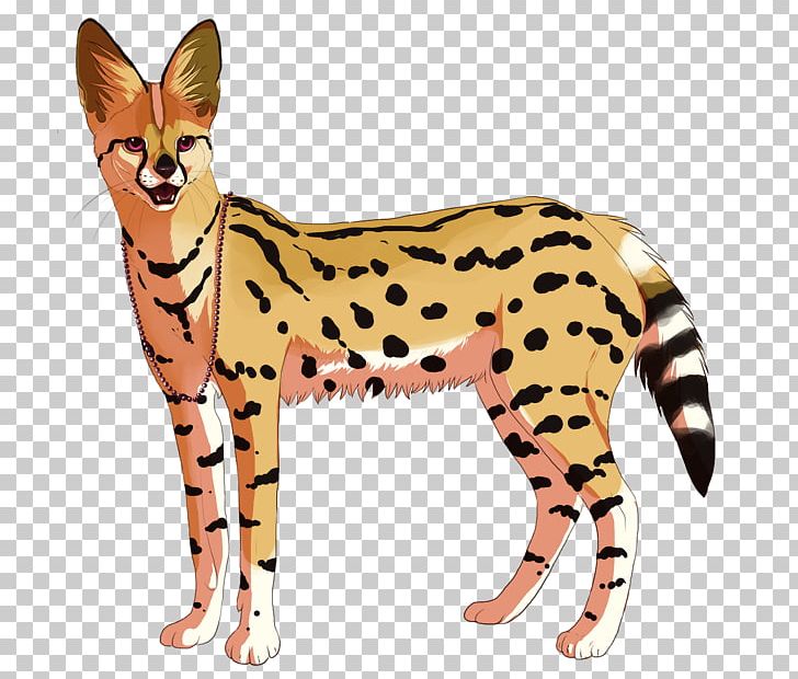 Wildcat Cheetah Cougar Mammal PNG, Clipart, Animal, Animal Figure, Animals, Big Cat, Big Cats Free PNG Download