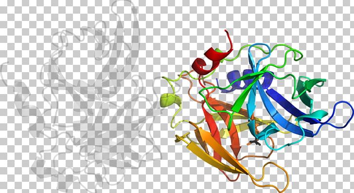 Drawing Graphic Design Art Organism PNG, Clipart, Animated Cartoon, Art, Artwork, Cartoon, Cysteine Protease Free PNG Download