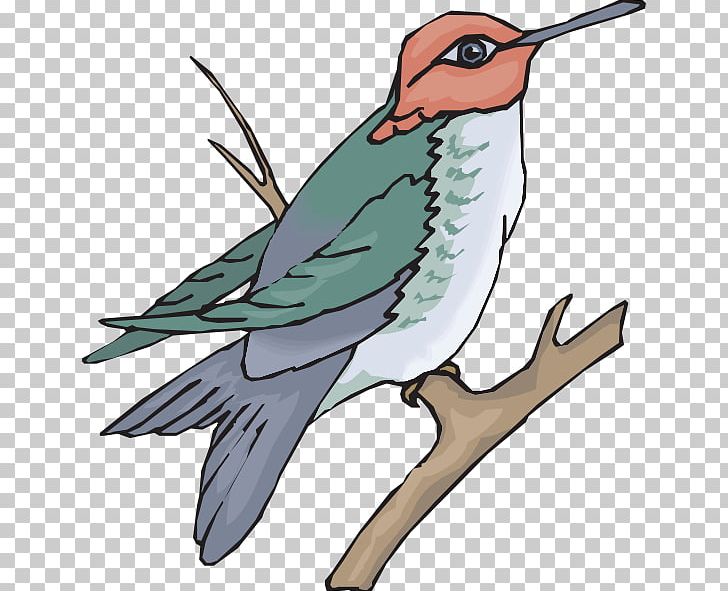 Hummingbird Wing Finch PNG, Clipart, Animal, Animals, Art, Beak, Bird Free PNG Download