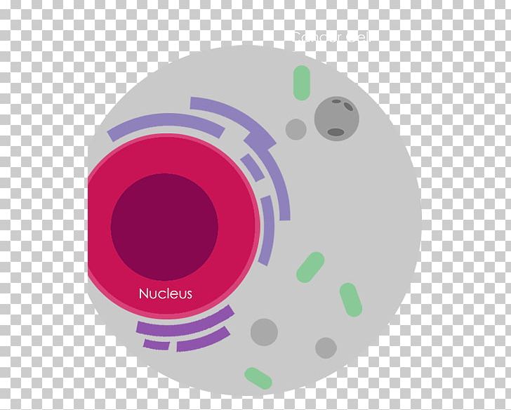 National University Of Singapore International Genetically Engineered Machine Product Cell Nucleus PNG, Clipart, Biological, Biological Membrane, Biomolecule, Cancer Cell, Cell Free PNG Download
