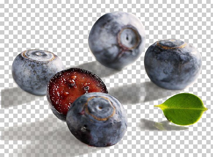 Blueberry Fruit Juicy Bilberry PNG, Clipart, Auglis, Berry, Bilberry, Blueberries, Blueberry Free PNG Download