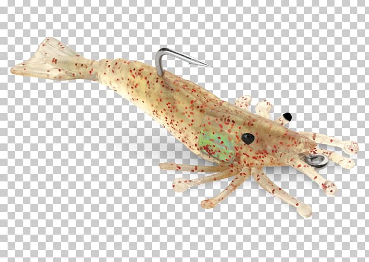 Crab Fishing Bait Soft Plastic Bait PNG, Clipart, Animals, Animal Source Foods, Bait, Crab, Crustacean Free PNG Download