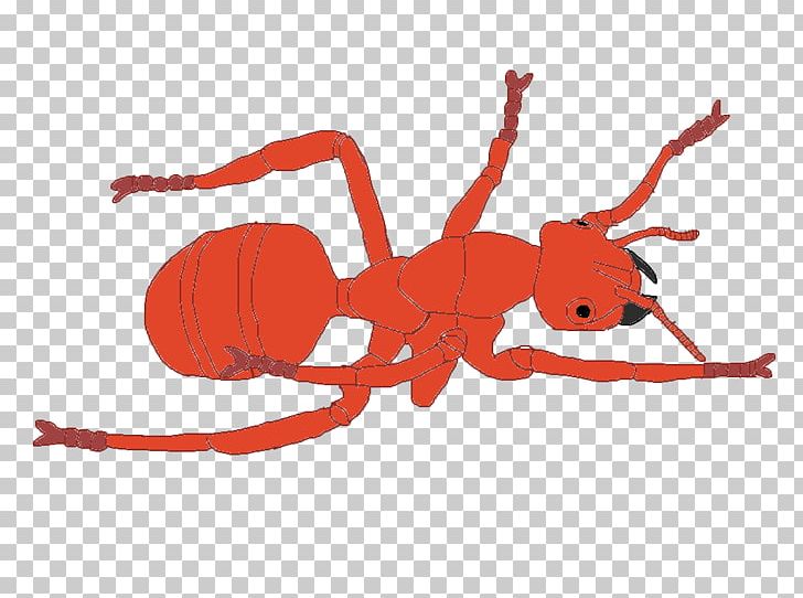 Insect K2 Line PNG, Clipart, Animal Figure, Animals, Ant, Anthony Mcpartlin, Arthropod Free PNG Download