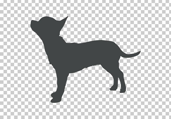 Puppy Whiskers Chihuahua Dog Breed Pug PNG, Clipart, Animals, Black, Black And White, Carnivoran, Cat Free PNG Download