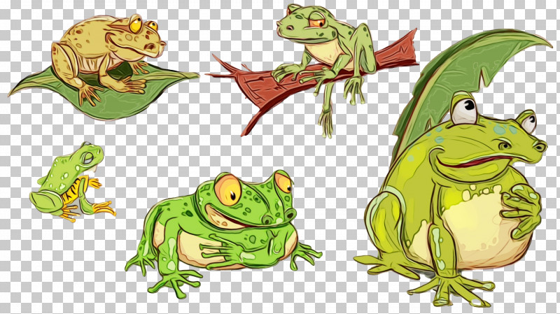 Toad True Frog Reptiles Tree Frog Frogs PNG, Clipart, Amphibians, Animal Figurine, Biology, Character, Frogs Free PNG Download