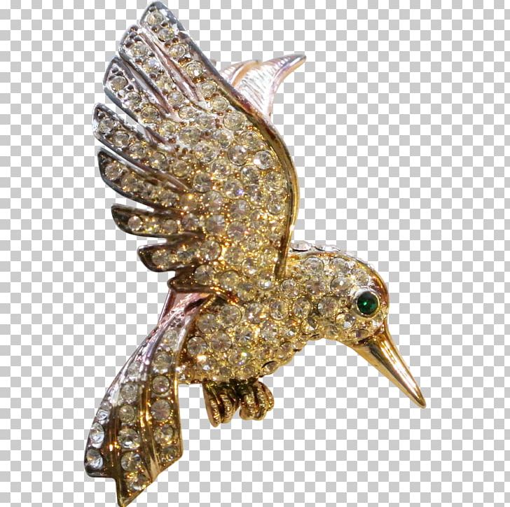 Brooch PNG, Clipart, Beak, Brooch, Diamond, Jewellery, Others Free PNG Download