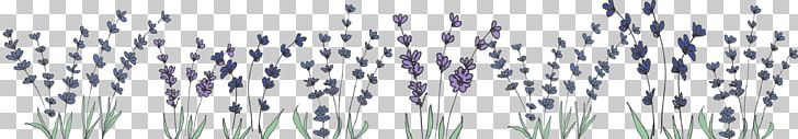 Lavender Skin Black And White Tourism PNG, Clipart, Acne, Black, Black And White, Branch, Grass Free PNG Download