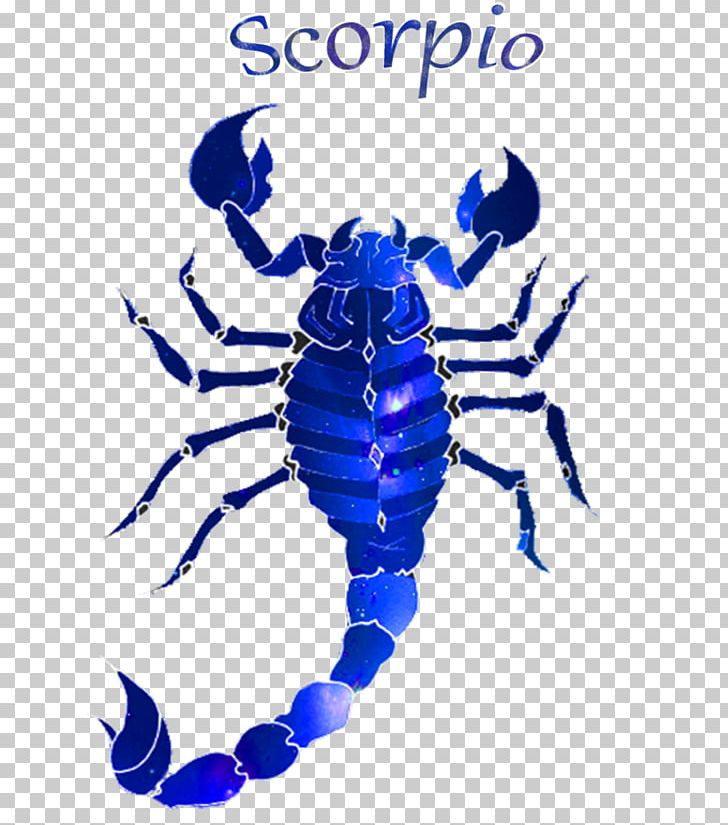 Scorpion Insect Electric Blue Pattern PNG, Clipart, Arthropod, Artwork, Electric Blue, Insect, Insect Wing Free PNG Download