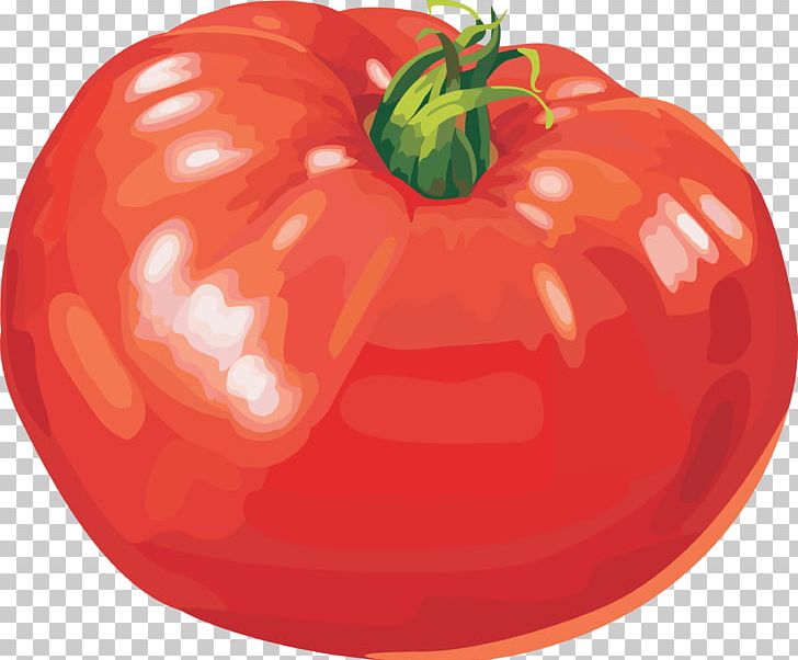 Tomato PNG, Clipart, Bell Pepper, Chicken Curry, Desktop Wallpaper, Food, Fruit Free PNG Download