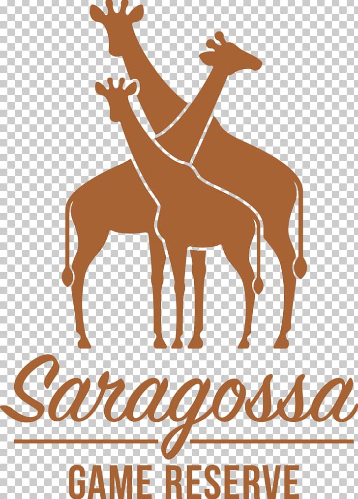 Welgevonden Game Reserve Sabi Sabi Nature Reserve Zaragoza PNG, Clipart, Accommodation, Antler, Area, Deer, Game Reserve Free PNG Download
