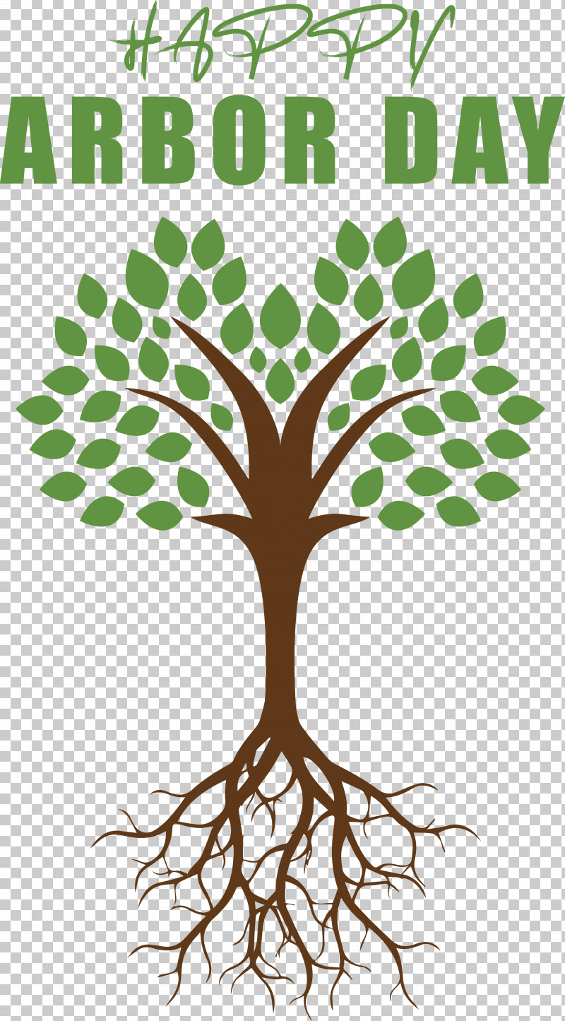 Tree Branch Leaf Perennial Plant PNG, Clipart, Branch, Leaf, Perennial Plant, Plant, Tree Free PNG Download