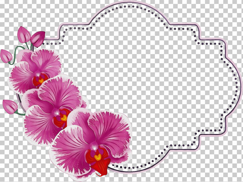Flower Violet Plant Petal Magenta PNG, Clipart, Butterfly Orchid Frame, Cattleya, Dendrobium, Floral Frame, Flower Free PNG Download