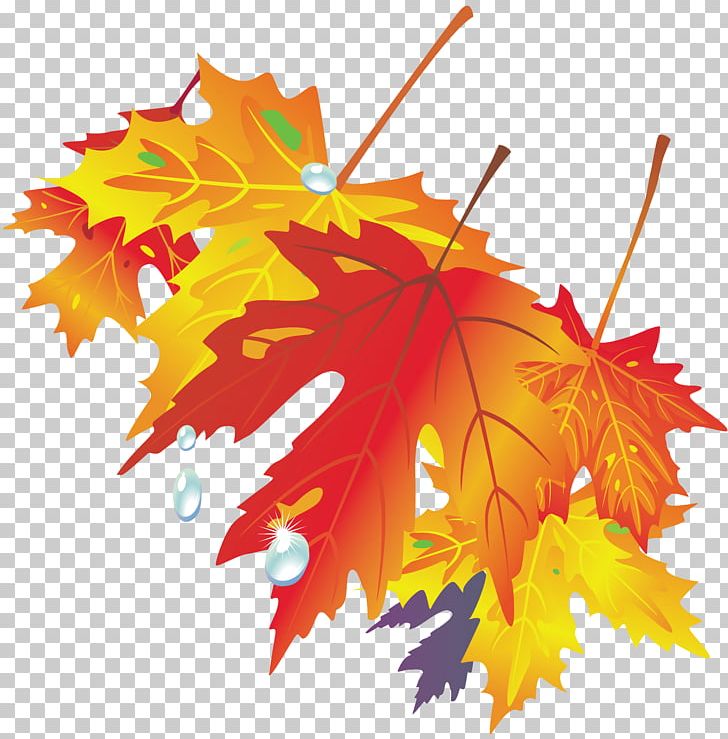 Autumn Leaf Drawing Color PNG, Clipart, Autumn, Autumn Leaf Color, Autumn Leaves, Color, Drawing Free PNG Download