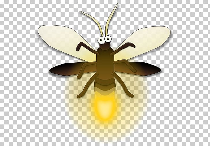 Bee Png Clipart Android Apk App Arthropod Bee Free Png Download