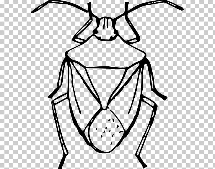 Brown Marmorated Stink Bug Insect Drawing PNG, Clipart, Animals, Artwork, Black, Black And White, Brown Marmorated Stink Bug Free PNG Download