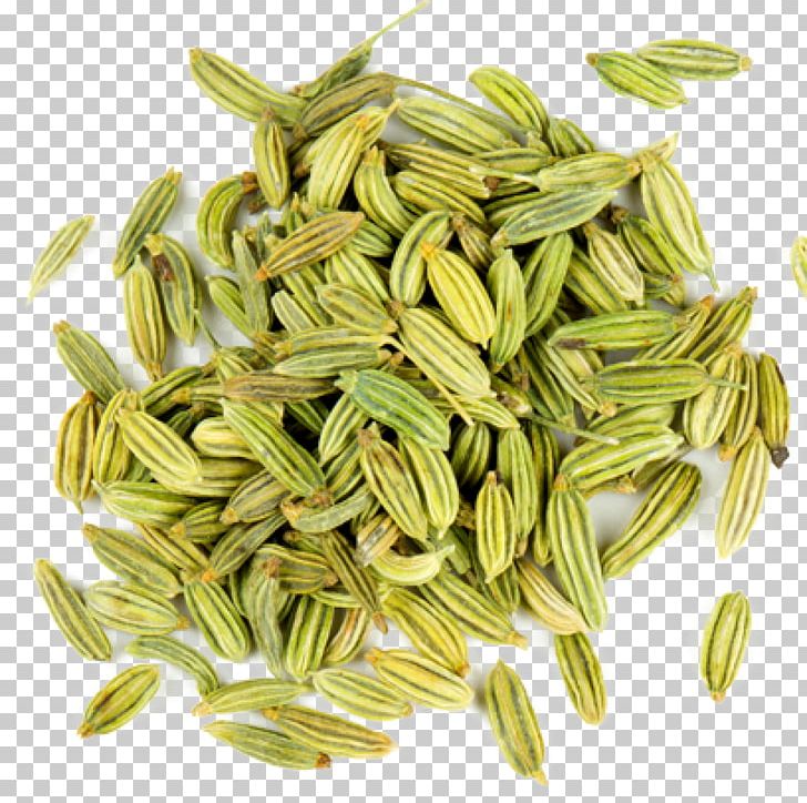 Fennel Spice Flavor Seed Fenugreek PNG, Clipart, Aroma Compound, Avena, Cereal Germ, Chewing, Commodity Free PNG Download