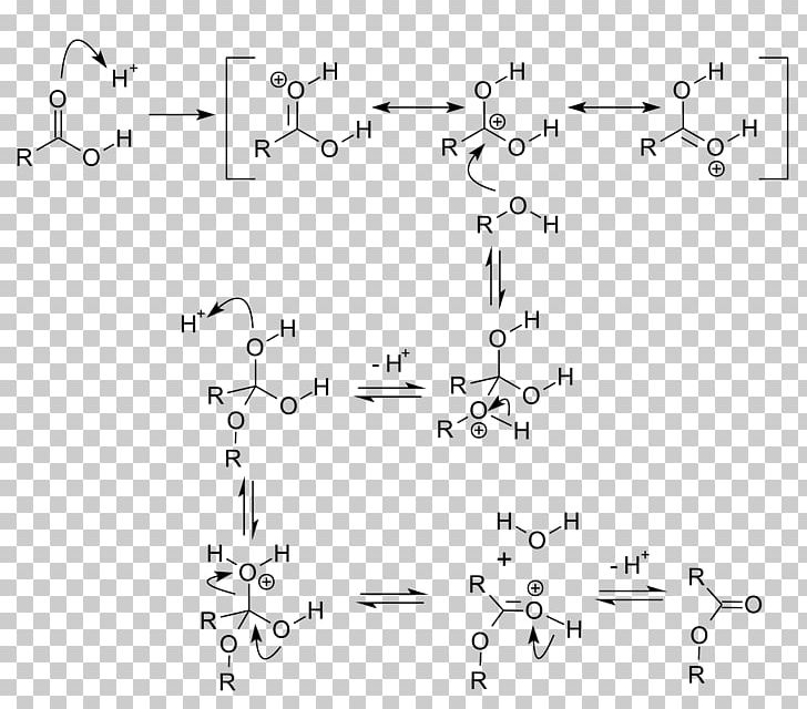 Fischer–Speier Esterification Acid Catalysis Chemical Reaction PNG, Clipart, Acid, Acid Catalysis, Alcohol, Angle, Benzyl Acetate Free PNG Download