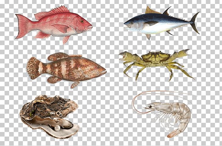 Fish Oyster Crab Wat Genade Met Je Doet Seafood PNG, Clipart, Animals, Animal Source Foods, Crab, Eating Live Seafood, Fauna Free PNG Download