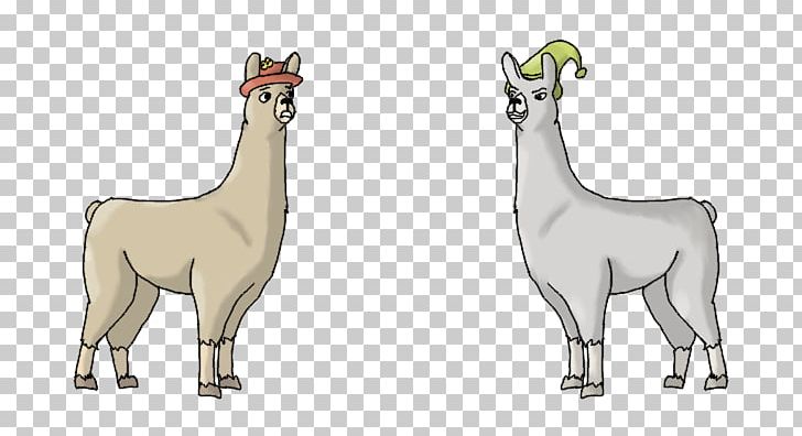 Llamas With Hats Vicuña Alpaca PNG, Clipart, Alpaca, Animal Figure, Animation, Camel Like Mammal, Fauna Free PNG Download