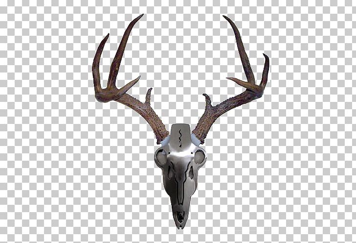 White-tailed Deer Antler Iron Mule Deer PNG, Clipart, Animals, Antler, Crossbow, Deer, Fallow Deer Free PNG Download