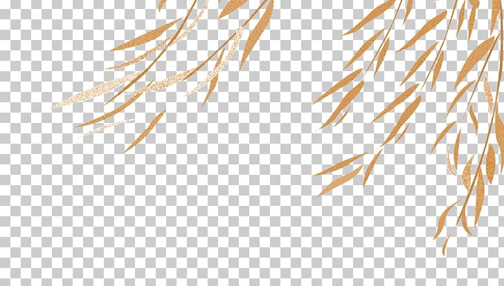 Willow Green Salix Metaglauca PNG, Clipart, Angle, Autumn, Autumn Leaves, Blue, Christmas Decoration Free PNG Download