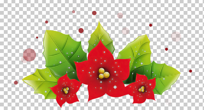 Holly PNG, Clipart, Flower, Holly, Leaf, Petal, Plant Free PNG Download