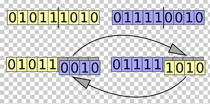 Crossover Genetic Algorithm Genetics Genetic Operator PNG, Clipart, Algorithm, Angle, Area, Artificial Intelligence, Brand Free PNG Download