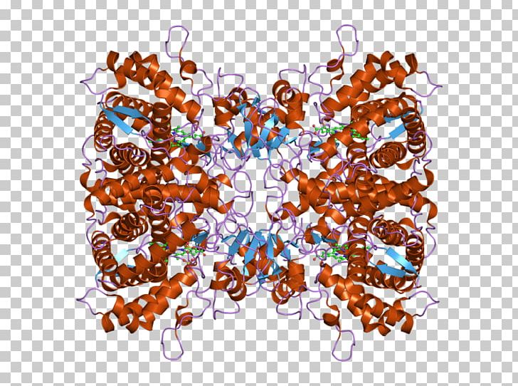 Cytochrome P450 CYP2D6 Enzyme Regulation Of Gene Expression PNG, Clipart, 2 D, 2 F, Art, Circle, Cyp2d6 Free PNG Download