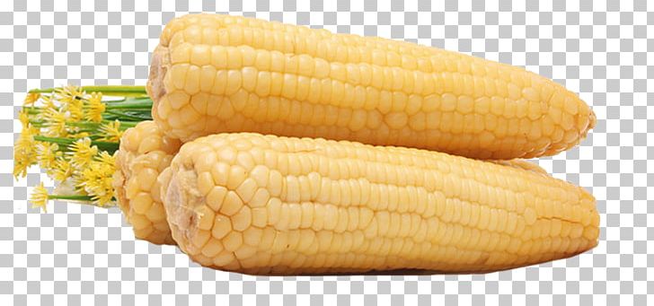 Corn On The Cob Waxy Corn Sweet Corn PNG, Clipart, Agricultural, Agricultural Products Maize, Cob, Corn, Corn Cob Free PNG Download