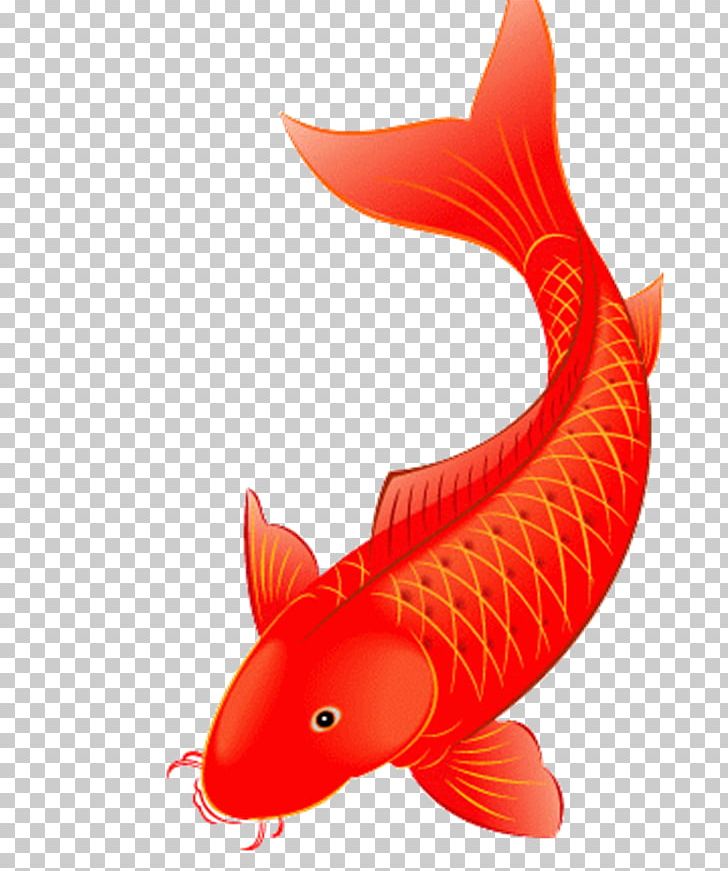 Koi Poster Red PNG, Clipart, Art, Chinoiserie, Common Carp, Encapsulated Postscript, Fin Free PNG Download