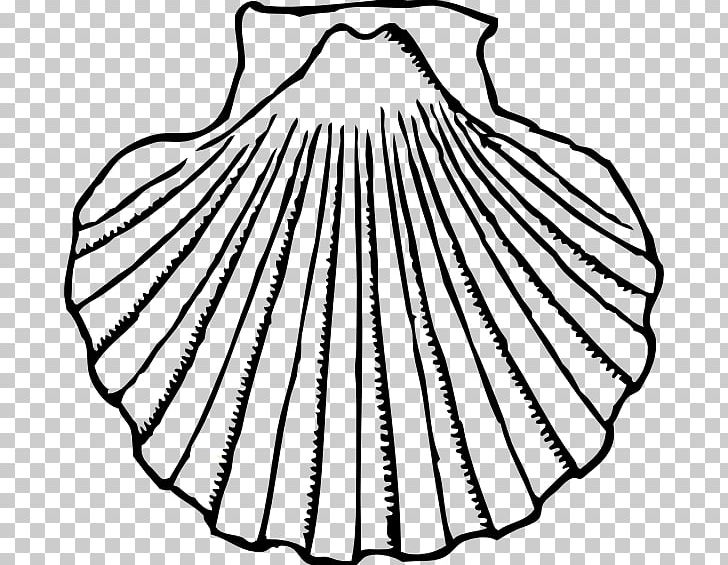 Clam Seashell Oyster PNG, Clipart, Black And White, Blog, Circle, Clam, Clams Free PNG Download