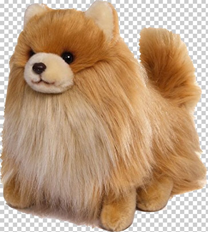 Pomeranian Puppy Boo: The Life Of The World's Cutest Dog Gund PNG, Clipart, Animals, Boo, Boo Dog, Carnivoran, Child Free PNG Download