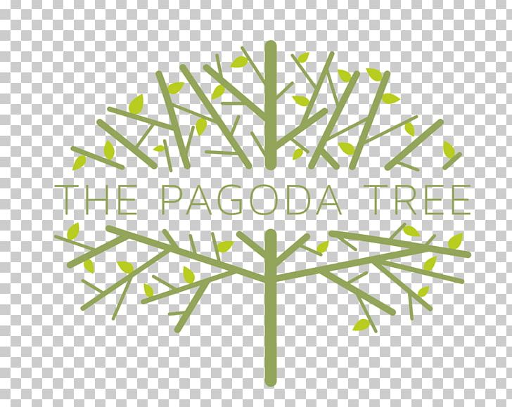 The Pagoda Tree Menstrual Cycle Menstruation Hormonal Contraception Ovulation PNG, Clipart, Angle, Area, Birth Control, Brand, Clinic Free PNG Download