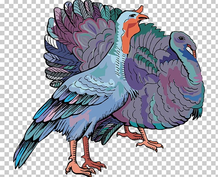 Chicken Bird Parrot Phasianidae Beak PNG, Clipart, Animal, Animals, Art, Beak, Bird Free PNG Download