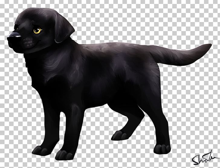 Labrador Retriever Flat-Coated Retriever Puppy Dog Breed Companion Dog PNG, Clipart, Animals, Borador, Breed Group Dog, Carnivoran, Companion Dog Free PNG Download