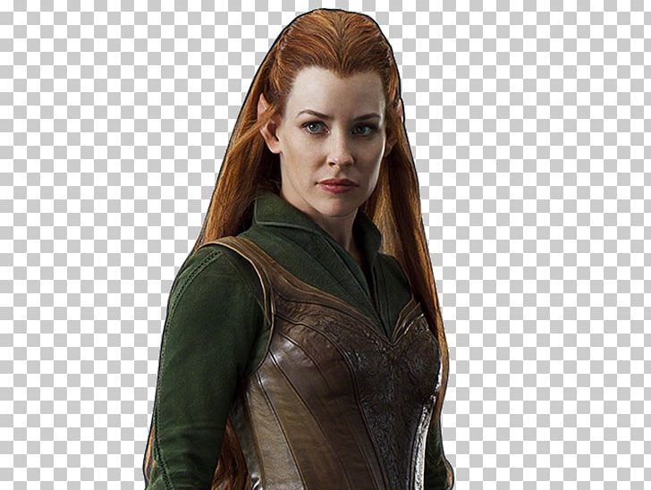 Tauriel Ant-Man And The Wasp The Hobbit Quicksilver PNG, Clipart, Antman, Antman And The Wasp, Avengers Age Of Ultron, Brown Hair, Celebrities Free PNG Download
